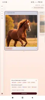 Screenshot_2025-11-22-18-23-21-287_com.android.chrome.webp
