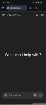 3825.webp