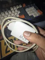 1000237631.webp