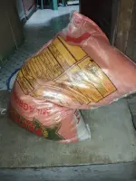 1000306686.webp