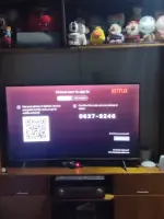 17641557892482423718031975741311.webp