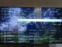 17642152068505178697450382165693.webp