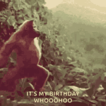happybirthday.gif happybirthday.gif