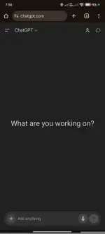 1000019309.webp