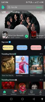 moviebox (1).webp