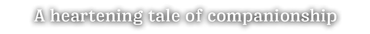 1764968463382.webp 1764968463382.webp