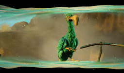 1.gif 1.gif
