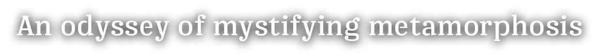 1764968633112.webp 1764968633112.webp