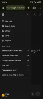 Screenshot_20251207-202550.webp