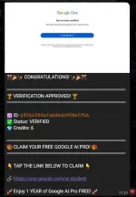 1765164127980.webp