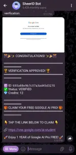 Screenshot_20251211_171101_Telegram.webp