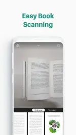 1765729050880.webp