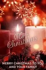 1765771159497.webp