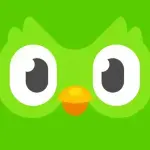 1766142400908.webp