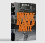 Vintage Black and White (2).webp