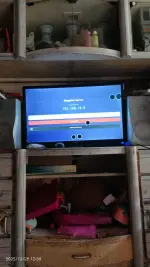 17668966875233121922405923433539.webp