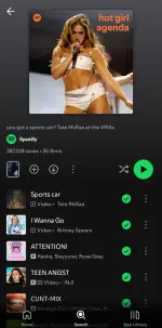 Screenshot_20251228_182405_Spotify.webp