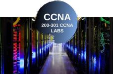 d440ae60de3d7572125fbba1c2954fcb.jpg