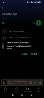 Screenshot_2025-12-29-09-21-09-339_com.spotify.music.webp