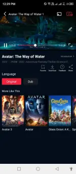 Cinema (3).webp