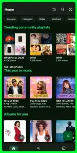 Metrolist Music.webp