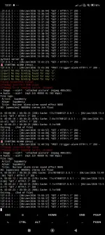 Screenshot_2026-01-06-13-51-11-342_com.termux.webp