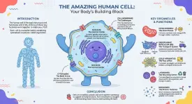 unnamed (7).webp unnamed (7).webp