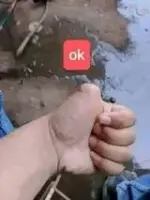 okay.webp