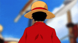 one piece GIF one piece GIF