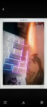 FIMO (1).webp