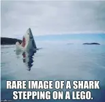 1768387301082.webp