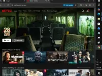 netflix.webp
