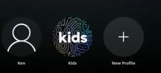Screenshot 2026-01-17 141434.webp