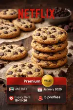 Netflix image 01.webp