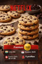Netflix image 02.webp