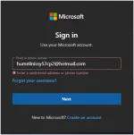 1768807823060.webp