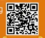 16922.webp