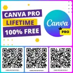 33438.webp