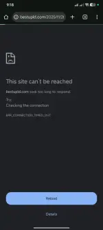 1000036105.webp 1000036105.webp
