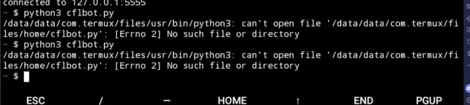 1769087908583.webp