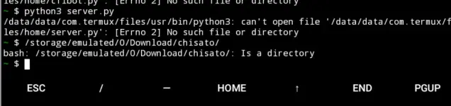 1769088824920.webp