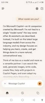 CoPilot.webp