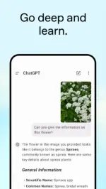 Screenshot 2026-01-23 151017.webp
