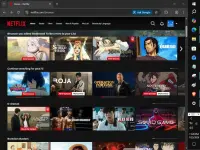 Netflix Extension1.webp