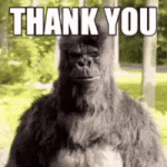 Thank U GIF by KiwiGo (KGO) Thank U GIF by KiwiGo (KGO)