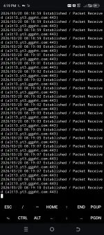 1000004137.webp 1000004137.webp