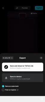 Capcut (4).webp Capcut (4).webp