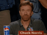 chuck norris approved GIF chuck norris approved GIF
