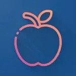 1774155537257.webp