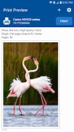 bs0yx2.webp bs0yx2.webp